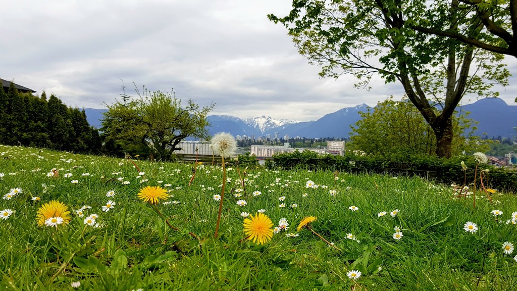 Dusty Greenwell Park | park | 2799 Wall St, Vancouver, BC V5K, Canada | 6048737000 OR +1 604-873-7000