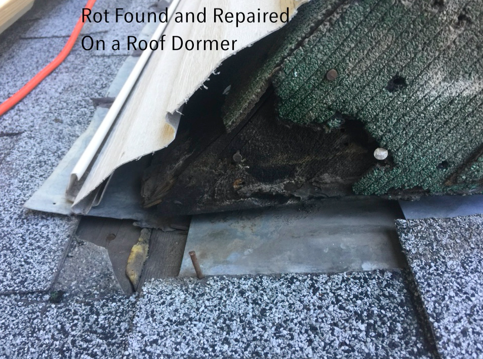 Mold Repair Calgary | 1101B Reader Crescent NE, Calgary, AB T2E 5J8, Canada | Phone: (403) 650-3829