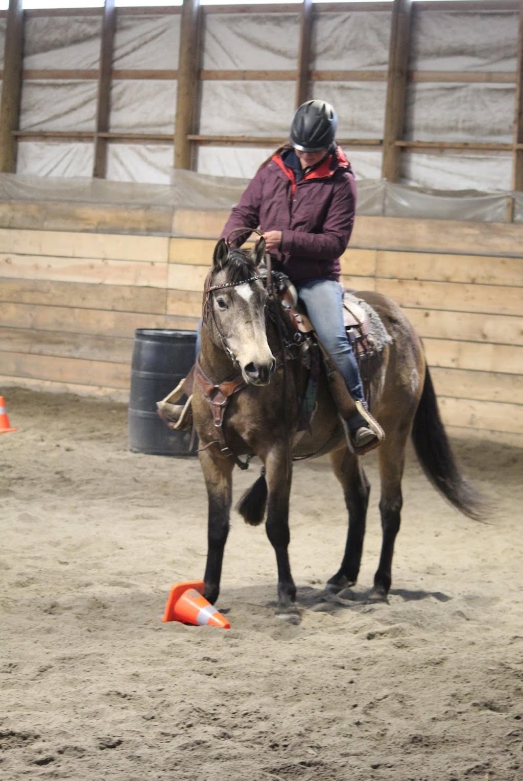New Beginnings Equestrian Centre | 56327 Range Rd 13, Onoway, AB T0E 1V0, Canada | Phone: (587) 873-5381
