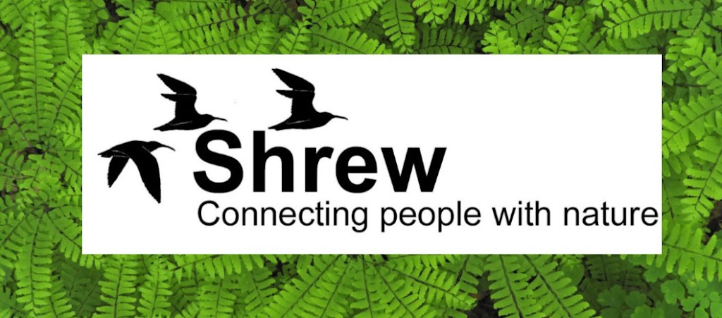 Shrew | 240 PresquIle Pkwy, Brighton, ON K0K 1H0, Canada | Phone: (613) 243-4161