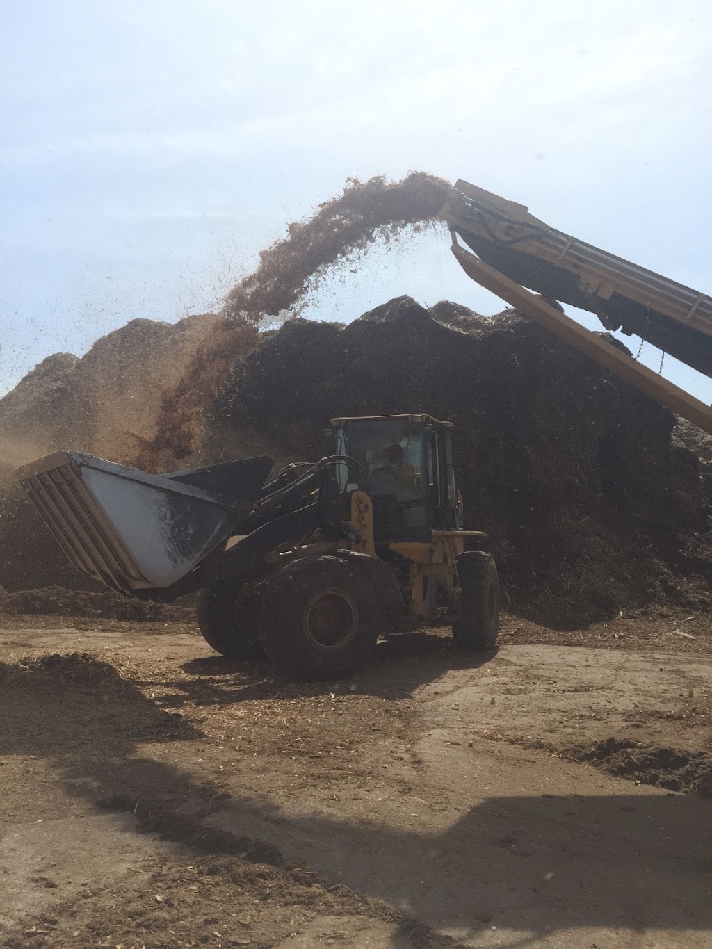 Hayes Timber Inc. | 7 N Diagonal, Hepworth, ON N0H 1P0, Canada | Phone: (519) 534-2067
