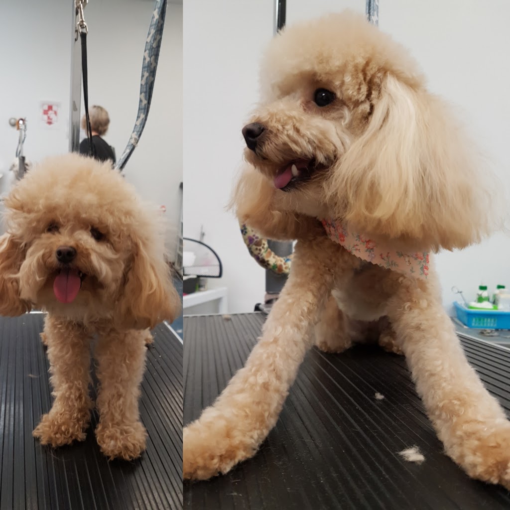 Canine Wellness Dog Grooming Boutique and Spa | 1 Queen St, Cookstown, ON L0L 1L0, Canada | Phone: (647) 766-7833