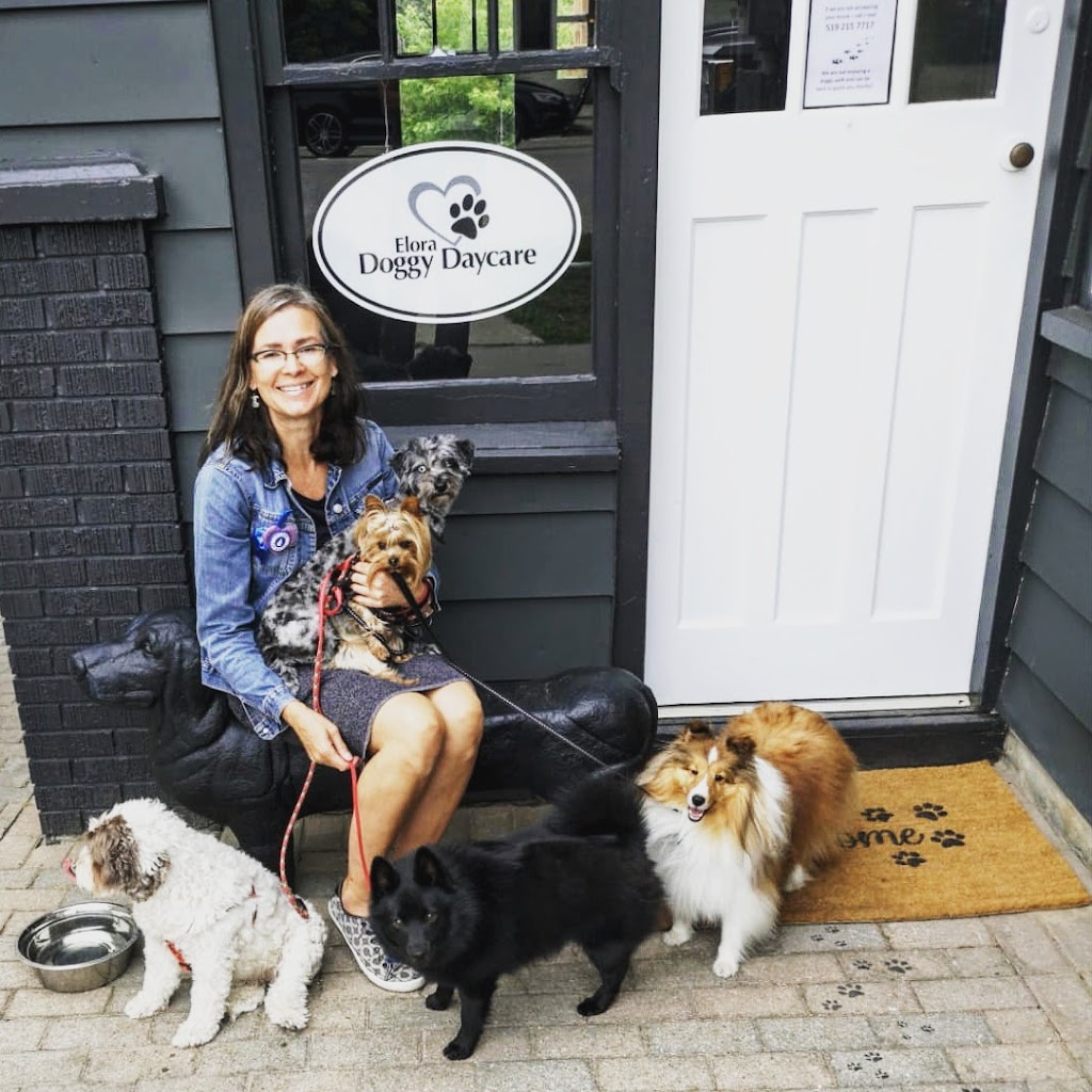 Elora Doggy Daycare | 11 E Mill St, Elora, ON N0B 1S0, Canada | Phone: (519) 215-7717