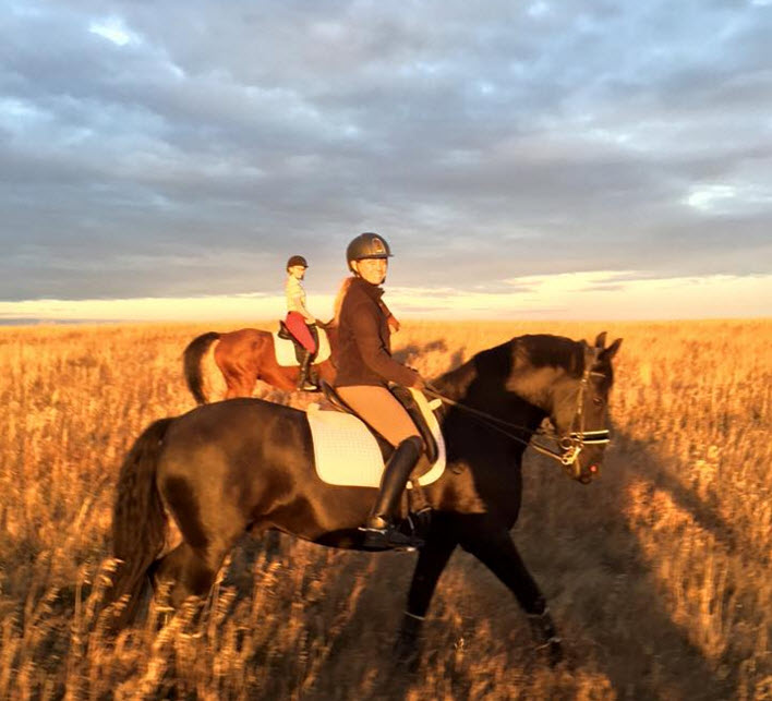 GEM Equestrian | 33038, Township Rd 272, AB T4C 2Z6, Canada | Phone: (403) 200-6287
