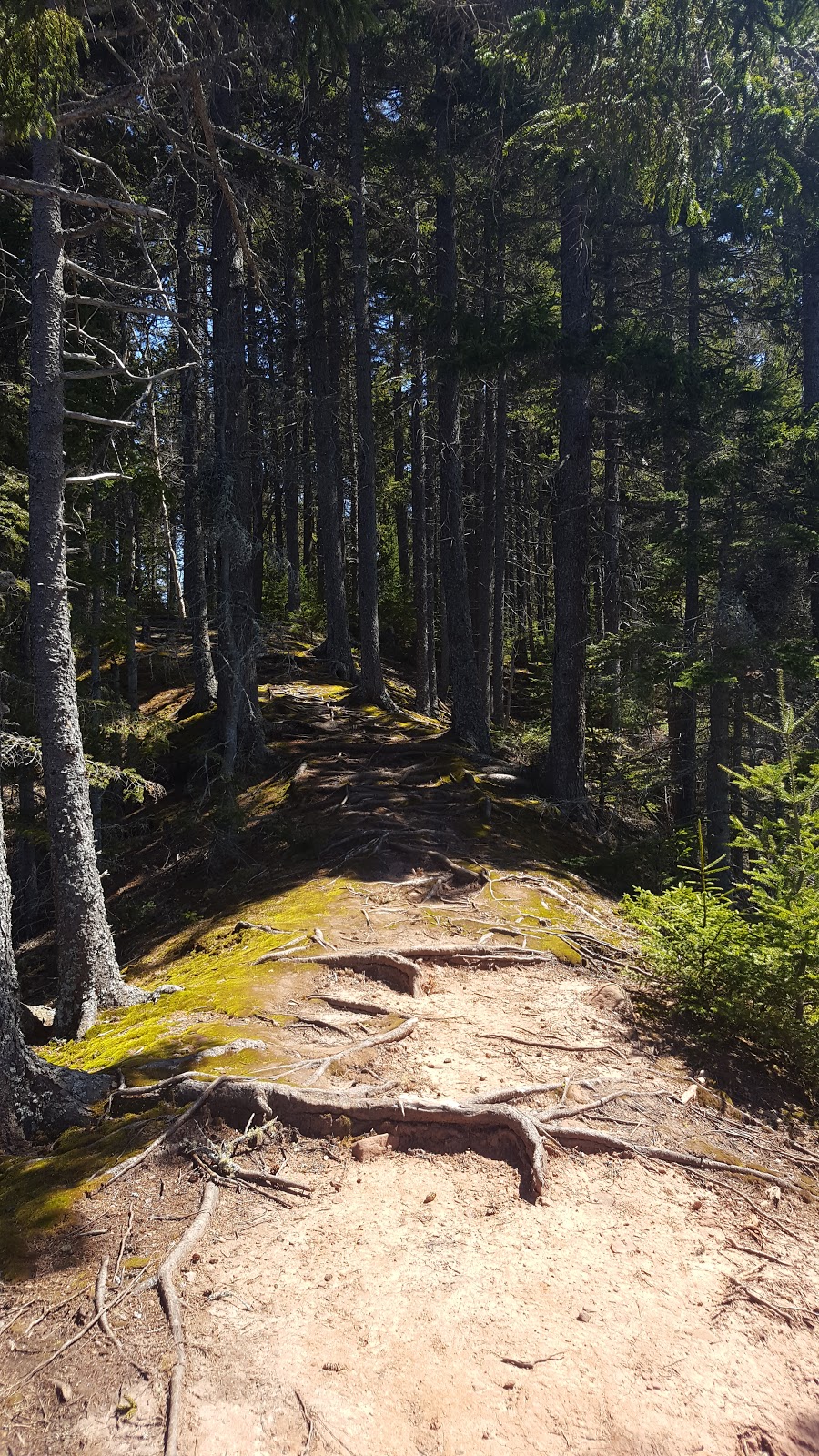 Chignecto National Wildlife Area | 930 Southampton Rd, Amherst, NS B4H 3Y4, Canada | Phone: (902) 426-1900