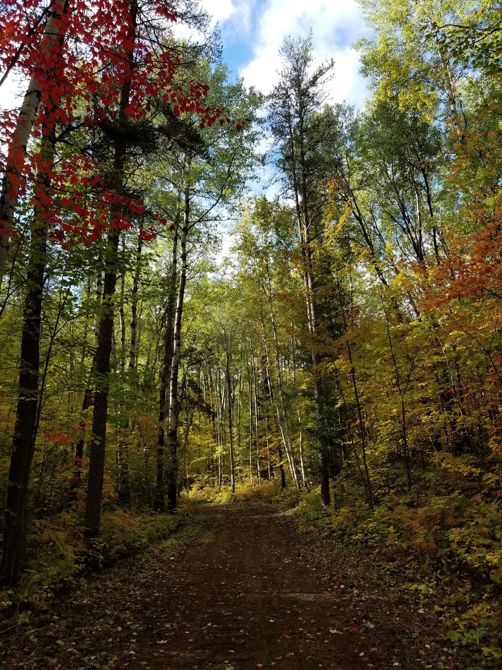 Temiskaming Nordic Ski Club | Forest Access Rd, Coleman, ON P0J 1P0, Canada | Phone: (705) 679-5106