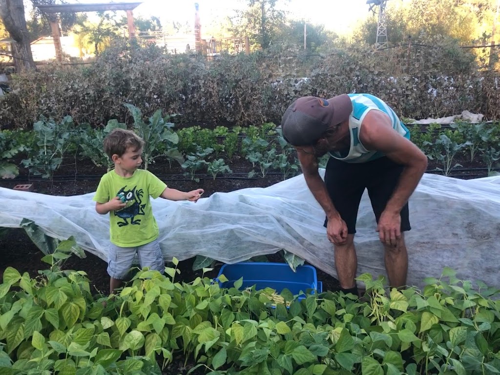 Root Renaissance Farm | 1700 Grafton Ave, Errington, BC V0R 1V0, Canada | Phone: (604) 825-8500