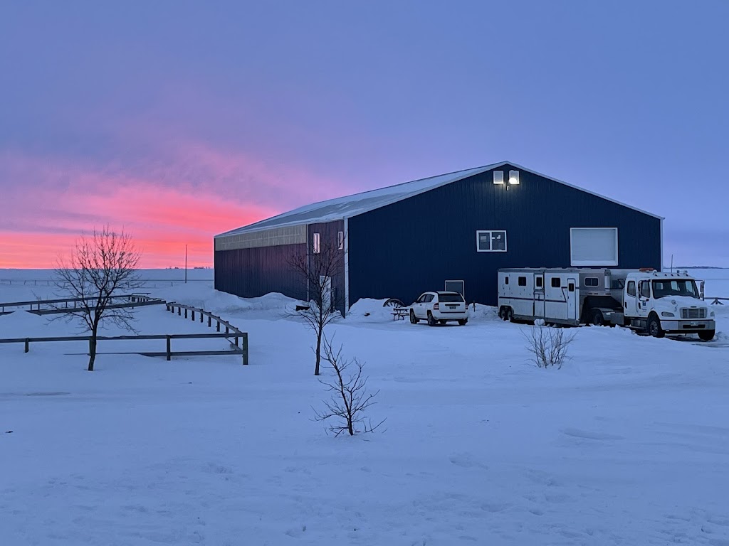 Lea Bank Equestrian Centre | Box 352, Rosenort, MB R0G 1W0, Canada | Phone: (204) 226-0746