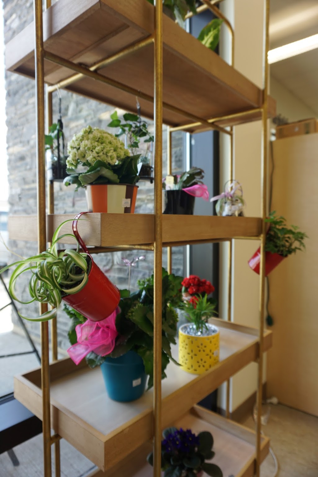 Raymond Pharmacy Florist | 90 Broadway N, Raymond, AB T0K 2S0, Canada | Phone: (403) 752-3089