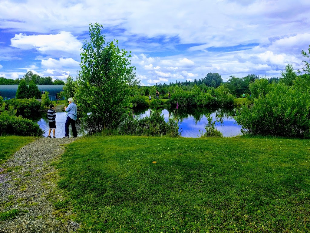 Parc Decouverte Nature | 2471 Chemin de Baldwin Mills-Barnston, Coaticook, QC J1A 2S4, Canada | Phone: (819) 849-2677
