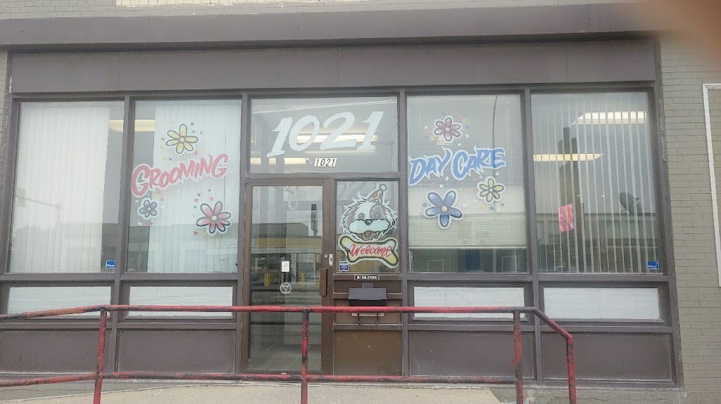 Happy Dogs Grooming | 1021 McPhillips St, Winnipeg, MB R2X 2K6, Canada | Phone: (204) 306-3987
