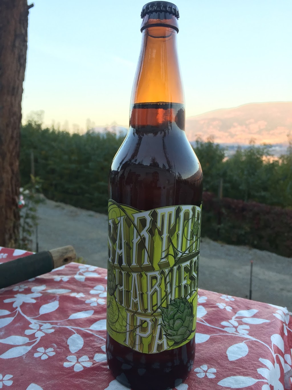 BC Liquor Store | 201-11850 Oceola Rd, Lake Country, BC V4V 2P5, Canada | Phone: (604) 300-1181