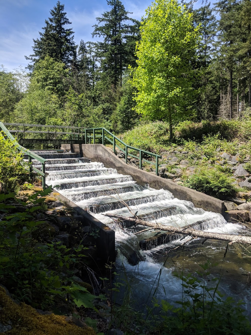 Nanaimo River Regional Park | Nanaimo A, BC V9X 1T2, Canada | Phone: (250) 248-3252