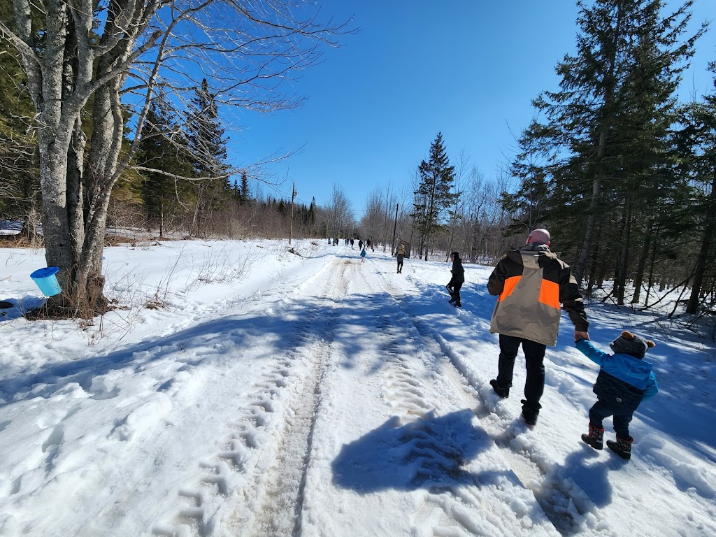 Produits d'érable Château Scoudouc Maple Products 2858 NB132