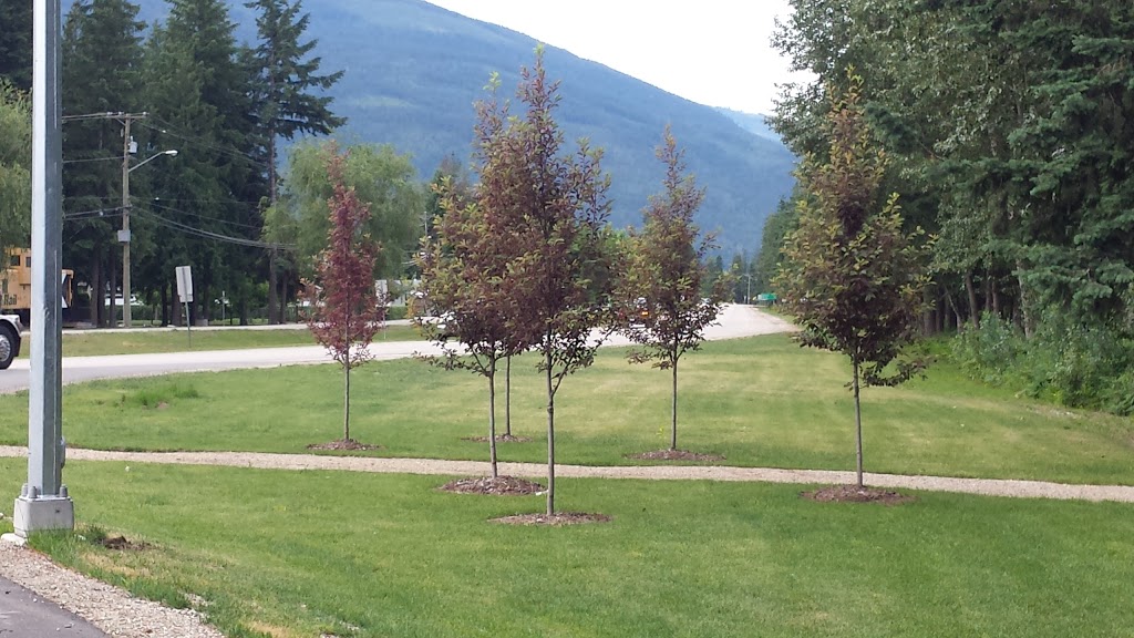 Parkland Ace Building Centre | Box 159, 1125 Eagle Pass Way, Sicamous, BC V0E 2V0, Canada | Phone: (250) 836-2514