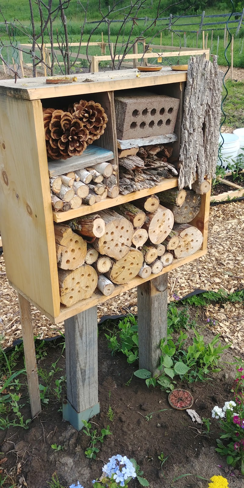 Schomberg Community Farm | 210 Western Ave, Schomberg, ON L0G 1T0, Canada
