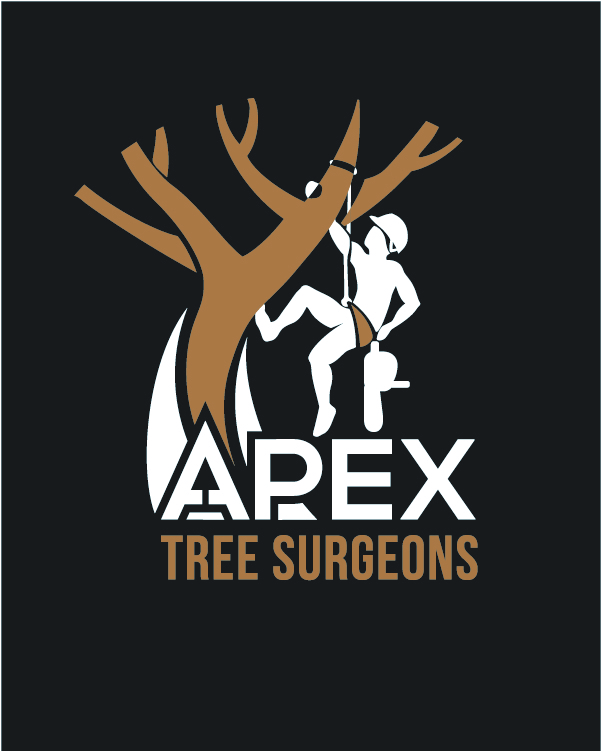 Apex Tree Surgeons | Trans-Canada Highway, Elana Drive, Warminster, ON L0K 2G0, Canada | Phone: (705) 955-7424