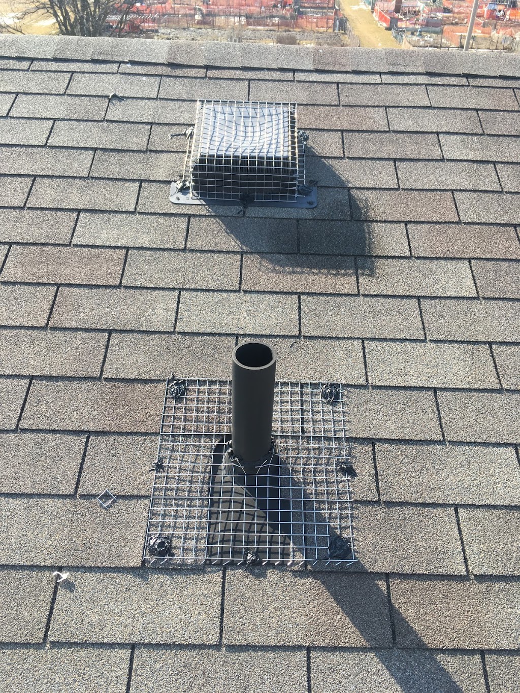 Craig Wildlife Control | 69 Lake Shore Dr #3, Etobicoke, ON M8V 1Z5, Canada | Phone: (416) 574-6356
