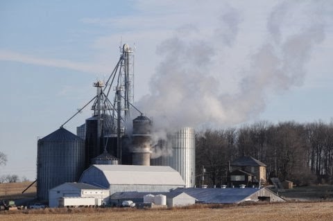 Gowanlea Ltd. | 11400 ON-12, Sunderland, ON L0C 1H0, Canada | Phone: (705) 357-2277