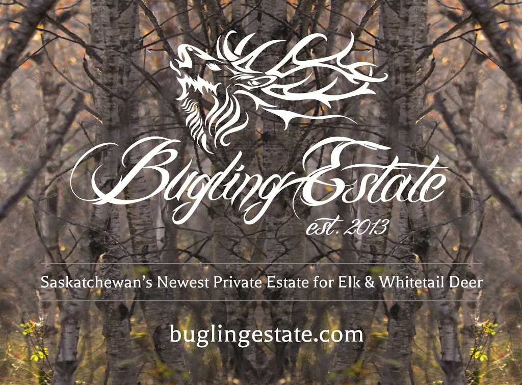 Bugling Estate | 335 Clark Ave, Asquith, SK S0K 0J0, Canada | Phone: (306) 948-7055