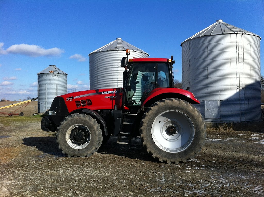 Turnbull Farms | 440 Turnbull Rd, Canfield, ON N0A 1C0, Canada | Phone: (289) 339-7303