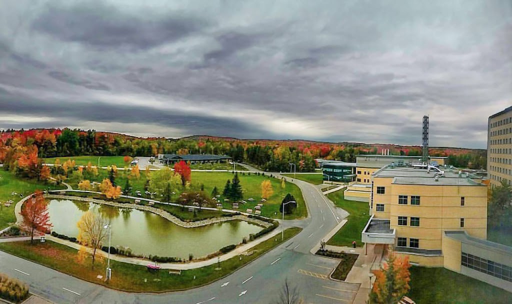 Centre de recherche du CHUS | 12e Avenue N Porte 6, Sherbrooke, QC J1H 5N4, Canada | Phone: (819) 820-6480