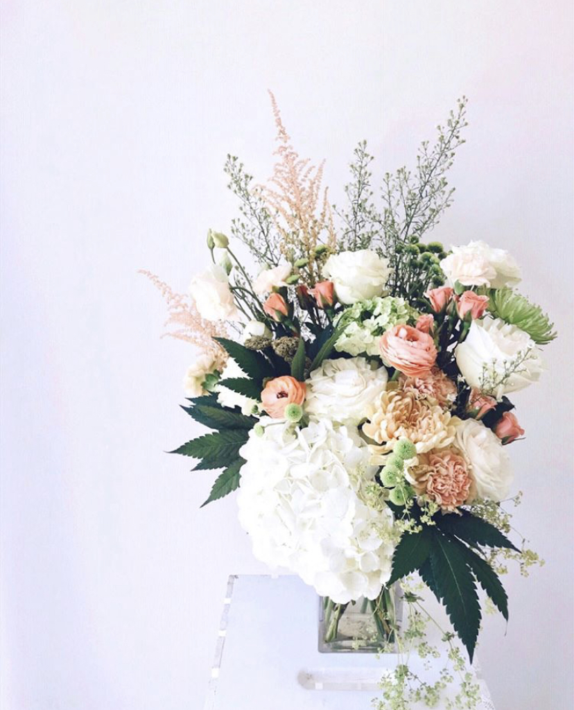 BUD + BLOOM | 10117 113 Ave NW, Edmonton, AB T5G 0M8, Canada | Phone: (780) 217-7687
