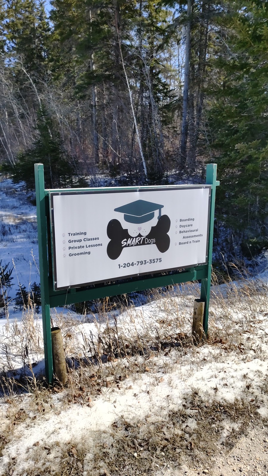 SMART Dogs | 14059 E Komarno Rd, Winnipeg Beach, MB R0C 3B0, Canada | Phone: (204) 793-3575