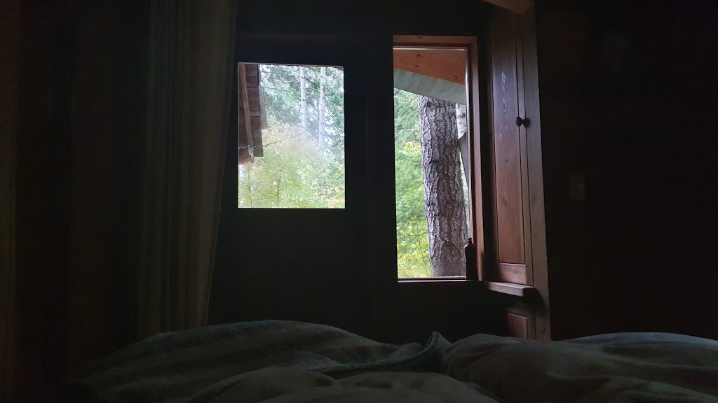 Forest of Earthly Delights | 954 Mobley Rd, Tappen, BC V0E 2X1, Canada | Phone: (250) 835-8387
