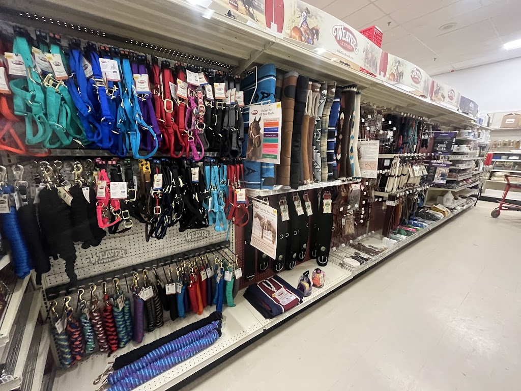 Peavey Mart | 1200 Pembroke St W, Pembroke, ON K8A 7T1, Canada | Phone: (613) 732-8974