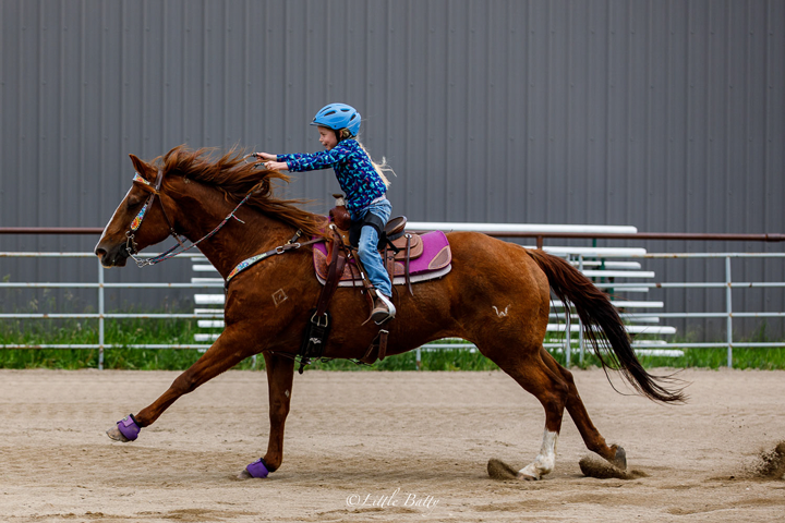 AJLS Ranch | Range Rd 253 222050, Carseland, AB T0J 0M0, Canada | Phone: (403) 993-2398