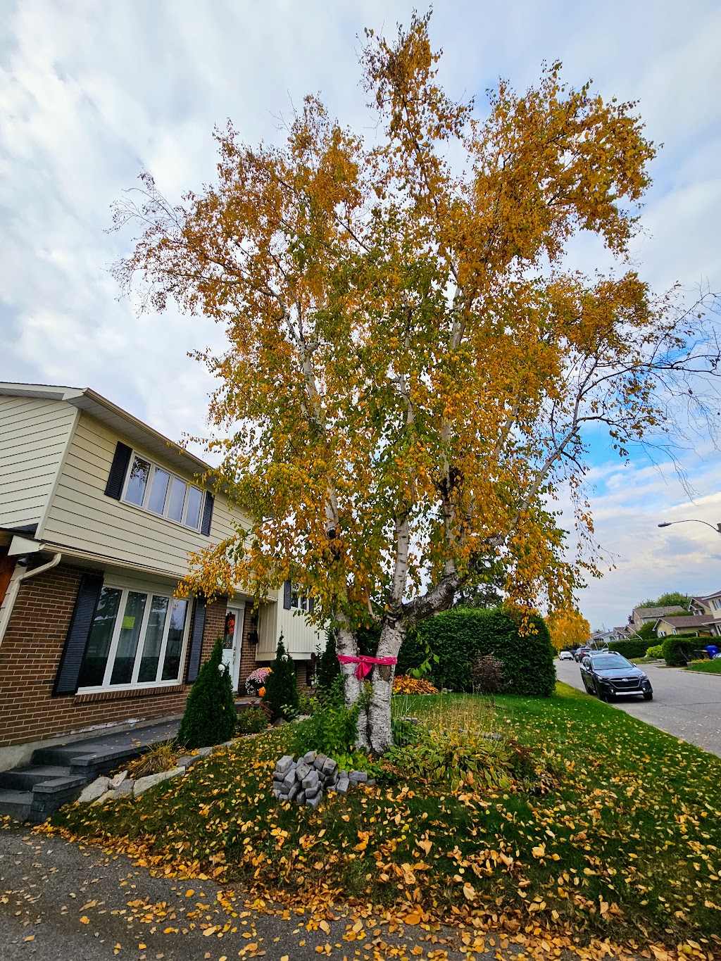 Émondage Everest | 442 Chem. Saint-Antoine, Val-des-Monts, QC J8N 7H9, Canada | Phone: (819) 671-9651