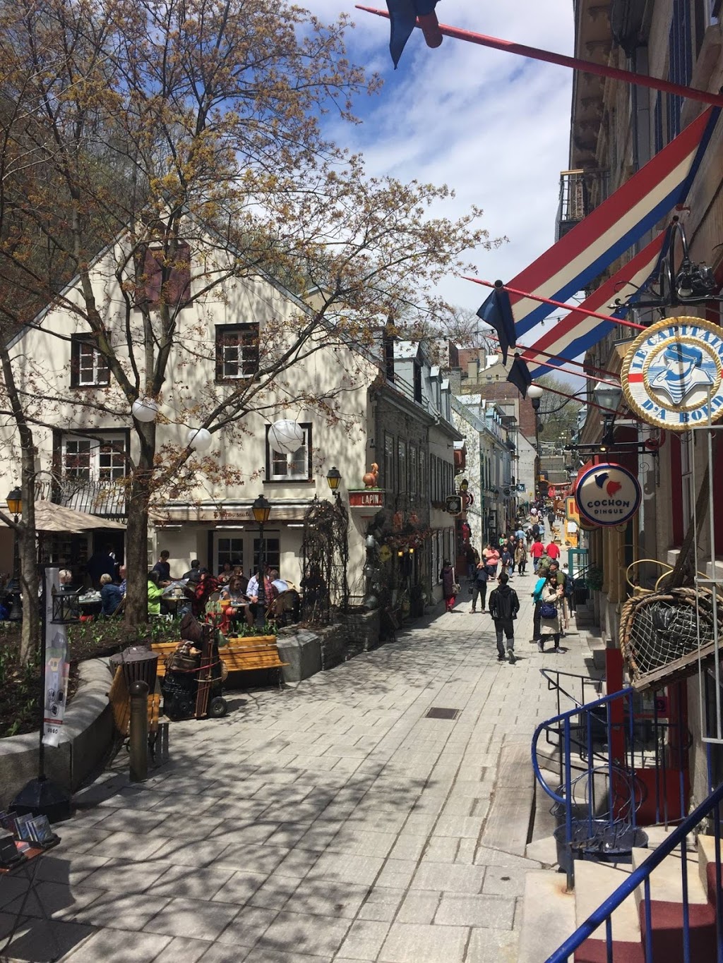 Le Capitaine Da Bord | 63 Rue du Petit Champlain, Québec, QC G1K 4H5, Canada | Phone: (418) 694-0624