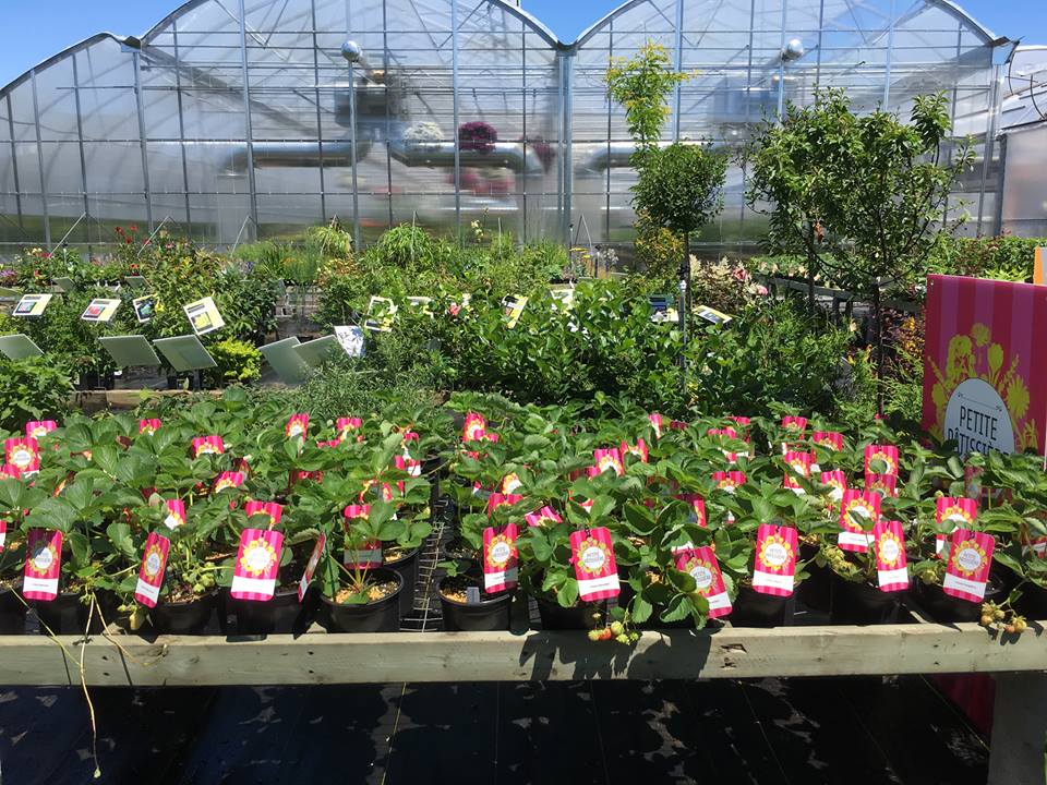 Les Jardins Gourmands Inc. | 2236 Rang Saint-Jacques, Saint-Jacques, QC J0K 2R0, Canada | Phone: (450) 839-9253