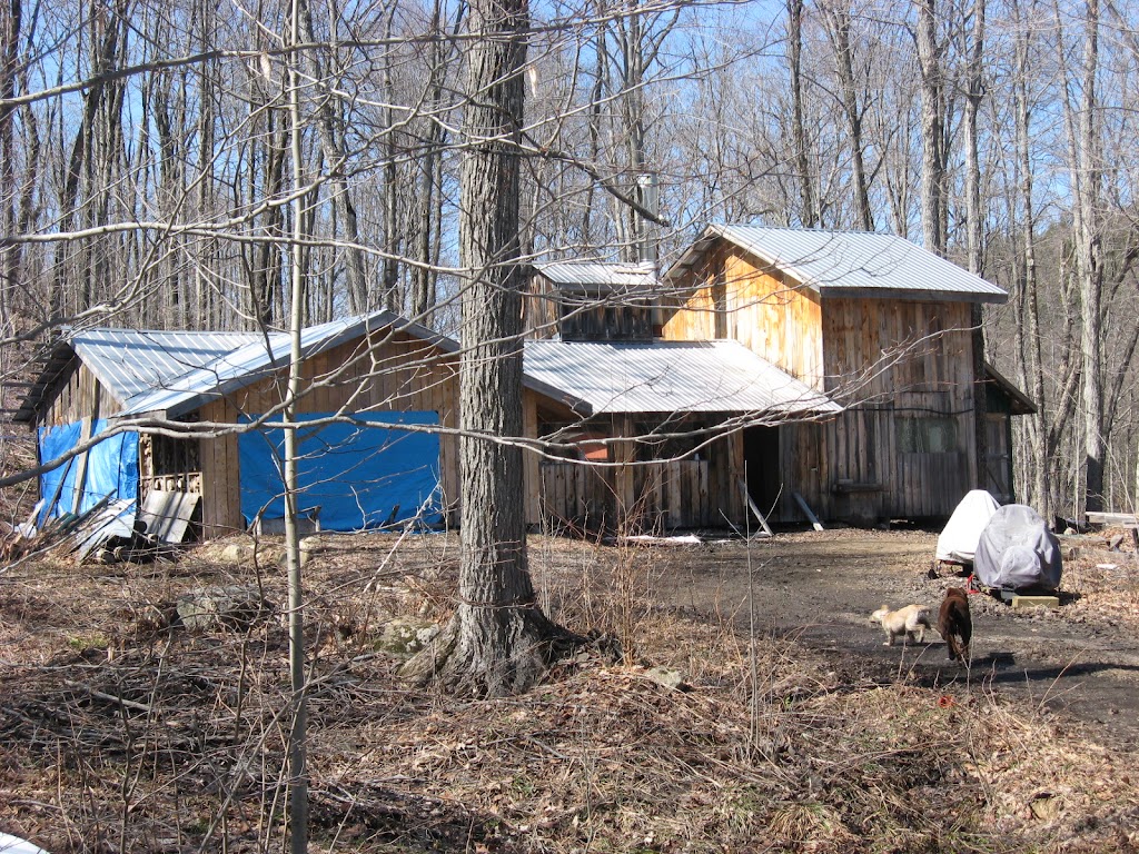 Rileys Northern Gold | 1011 Hard Wood Ln, Wilberforce, ON K0L 3C0, Canada | Phone: (705) 448-2669