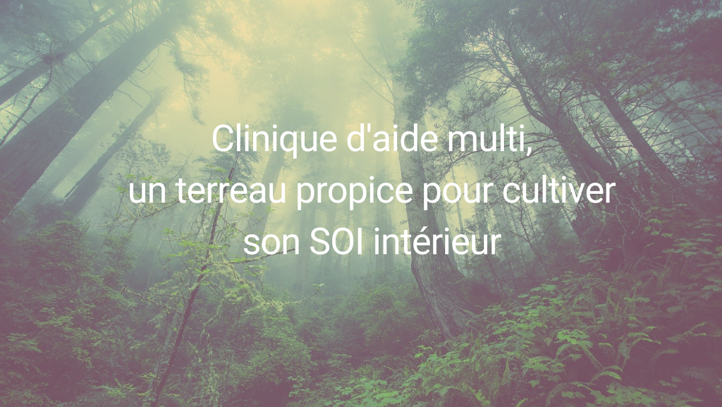 Clinique daide multi | 328 Rue Principale Suite 216, Granby, QC J2G 2W4, Canada | Phone: (450) 770-7009