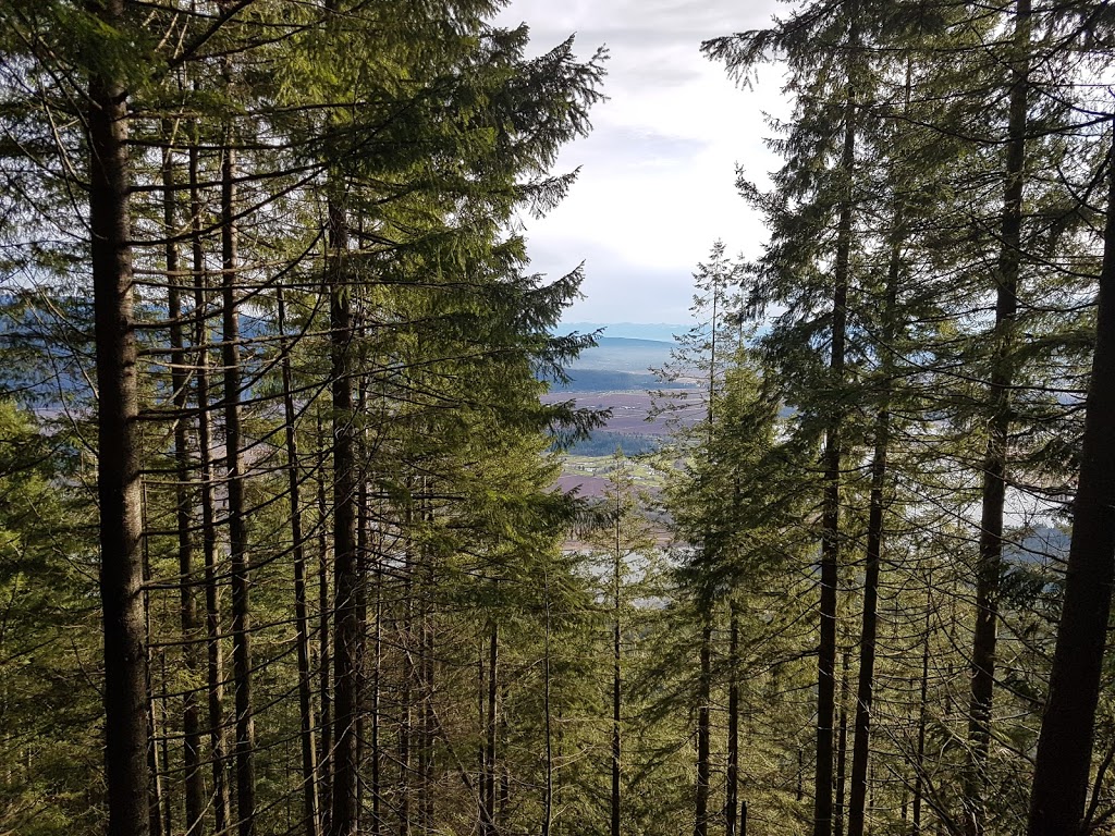 Munro Lake Trail | Munro, Lake Trail, Coquitlam, BC V3E 3H1, Canada