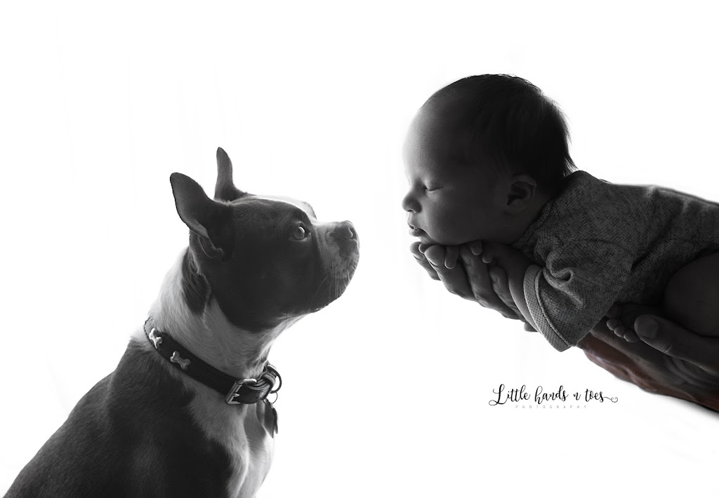 Little hands n toes photography | 2126 27 Ave SW, Calgary, AB T2T 1H7, Canada | Phone: (403) 681-2719