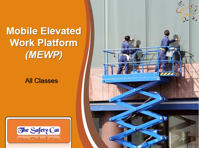 The Safety Cat | 12 Furniss St, Beaverton, ON L0K 1A0, Canada | Phone: (647) 298-2875