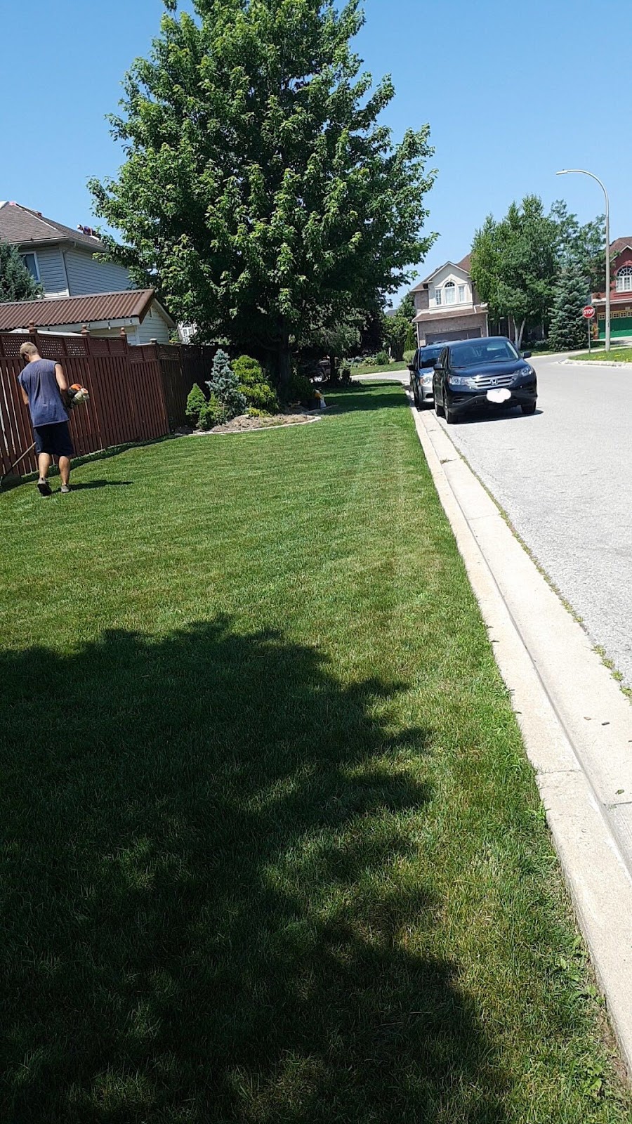 Bills Ground Care | 2149 Concession 2 Rd W RR1, Lynden, ON L0R 1T0, Canada | Phone: (519) 647-2931