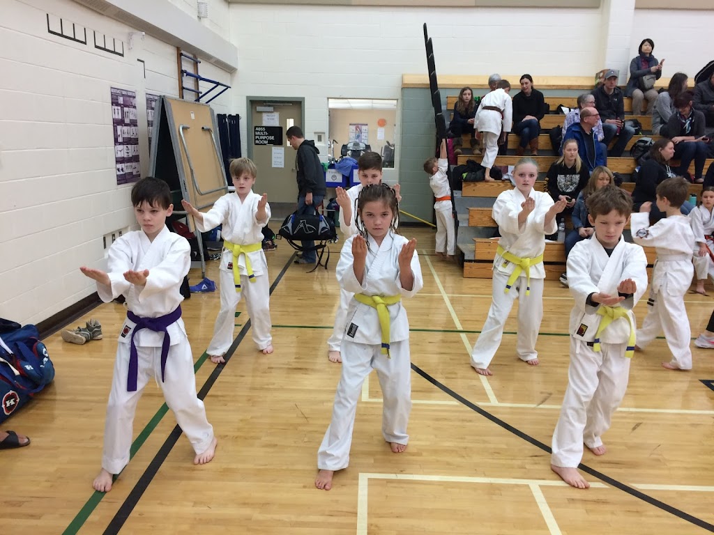 Youngs Uechi-Ryu Karate & Fitness | 8759 Commercial St, New Minas, NS B4N 3C4, Canada | Phone: (902) 691-0676