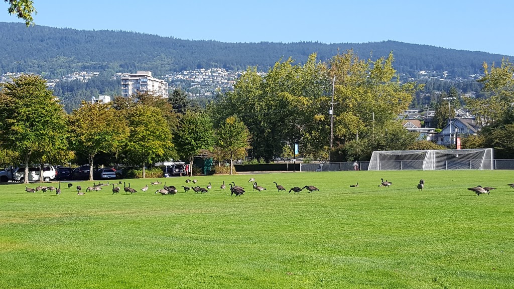 Ambleside Park | West Vancouver | 1150 Marine Dr, West Vancouver, BC V7T 1B1, Canada | Phone: (604) 925-7275