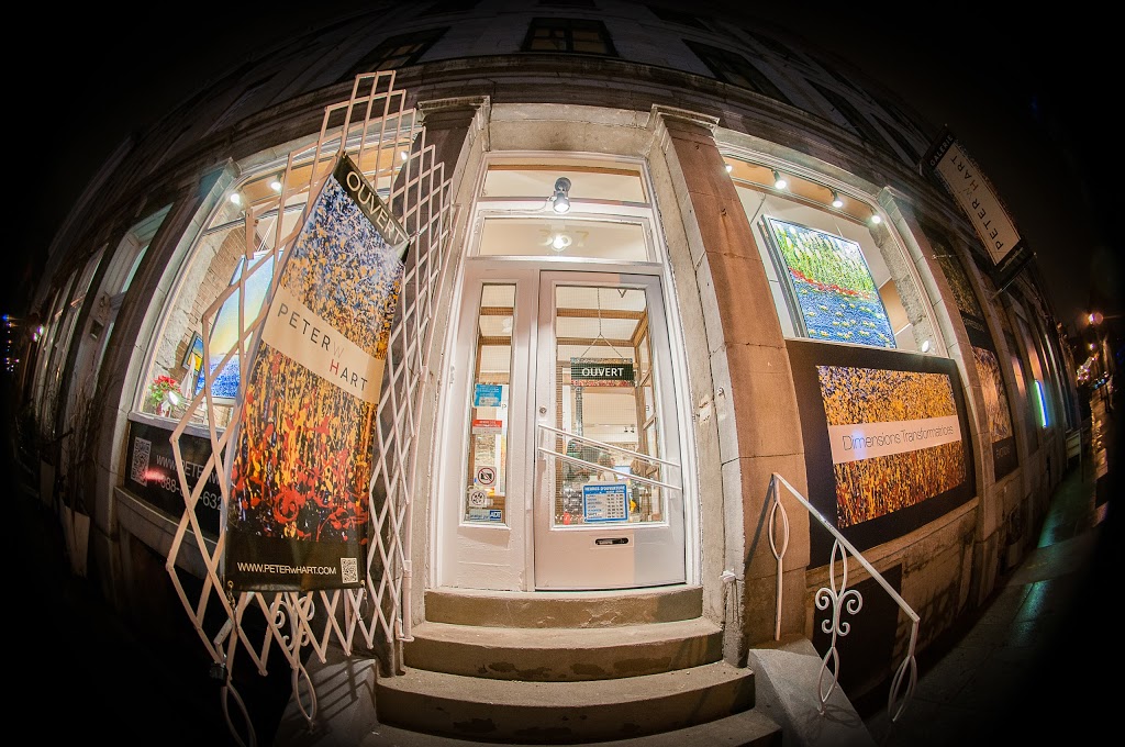 PETERwHARTGallery | 367 Rue Saint Paul Est, Montréal, QC H2Y 1H3, Canada | Phone: (888) 856-6325