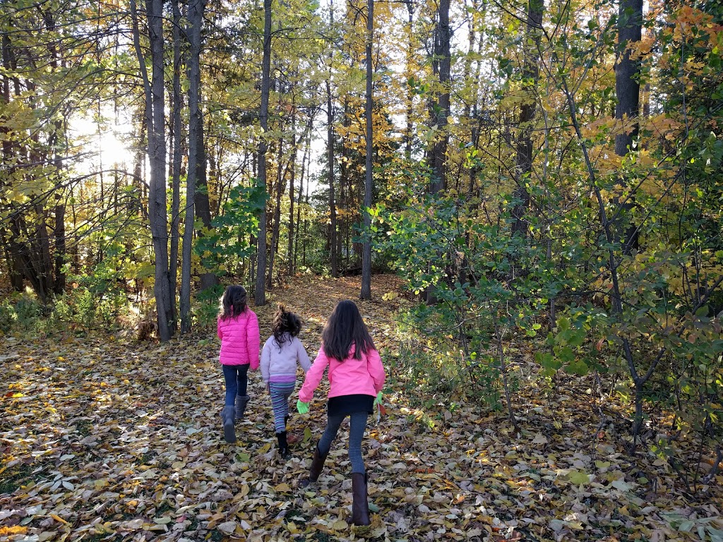 Alexander Grove Park | 10 Warner-Colpitts Ln, Stittsville, ON K2S 1V7, Canada | Phone: (613) 580-2595