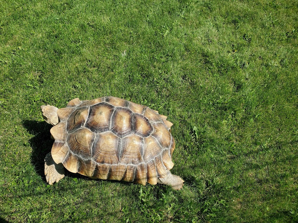 Discovery Wildlife Park & Campground | 5400 42 Ave, Innisfail, AB T4G 1P9, Canada | Phone: (403) 227-3211