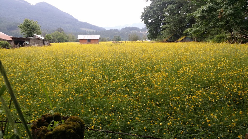 Harrison River RV and Campground | 1201 Kennedy Rd, Harrison Mills, BC V0M 1L0, Canada | Phone: (604) 799-0319