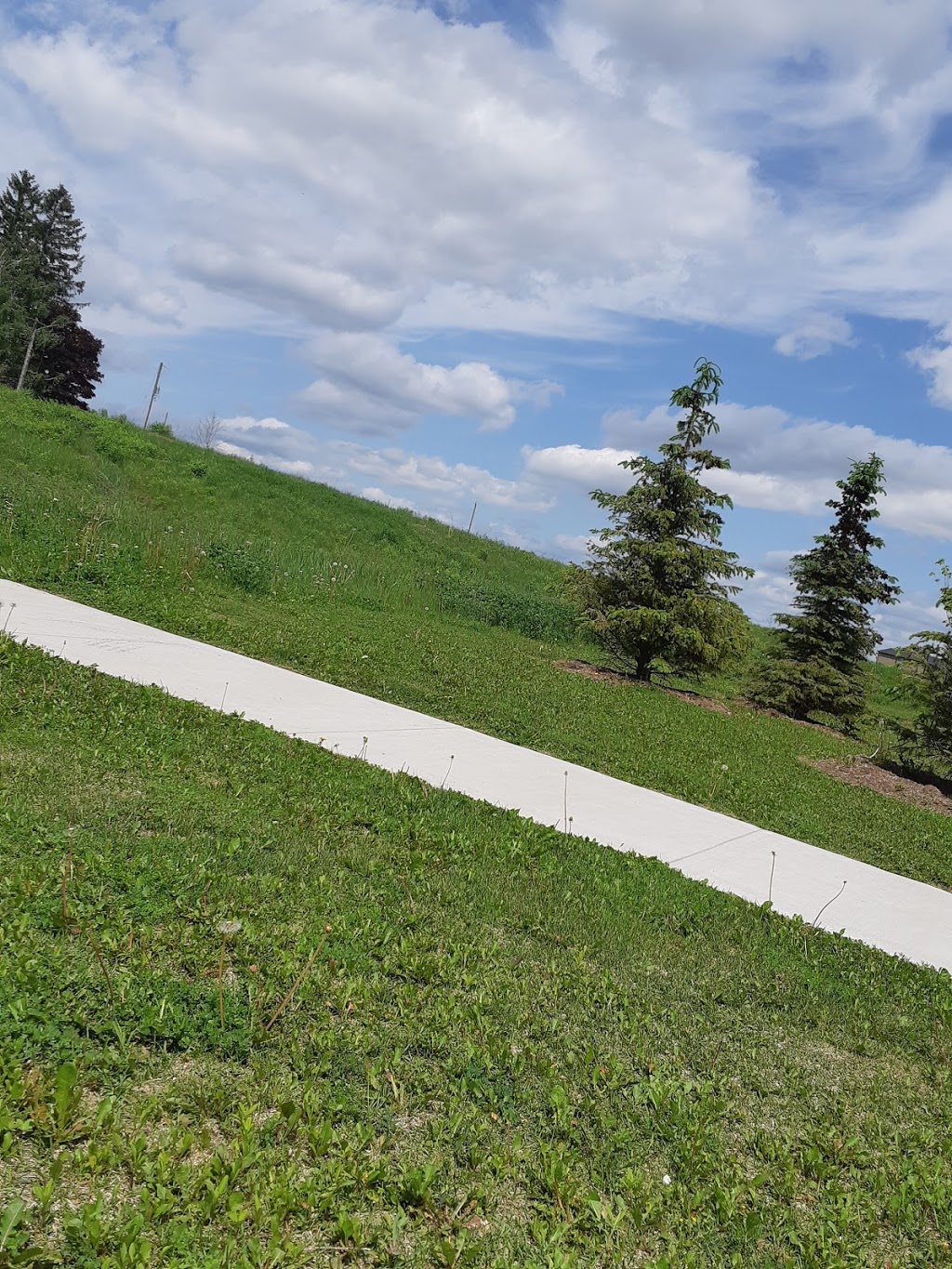Taylor Street Park | Taylor Dr, East Luther Grand Valley, ON L0N 1G0, Canada | Phone: (519) 928-5652