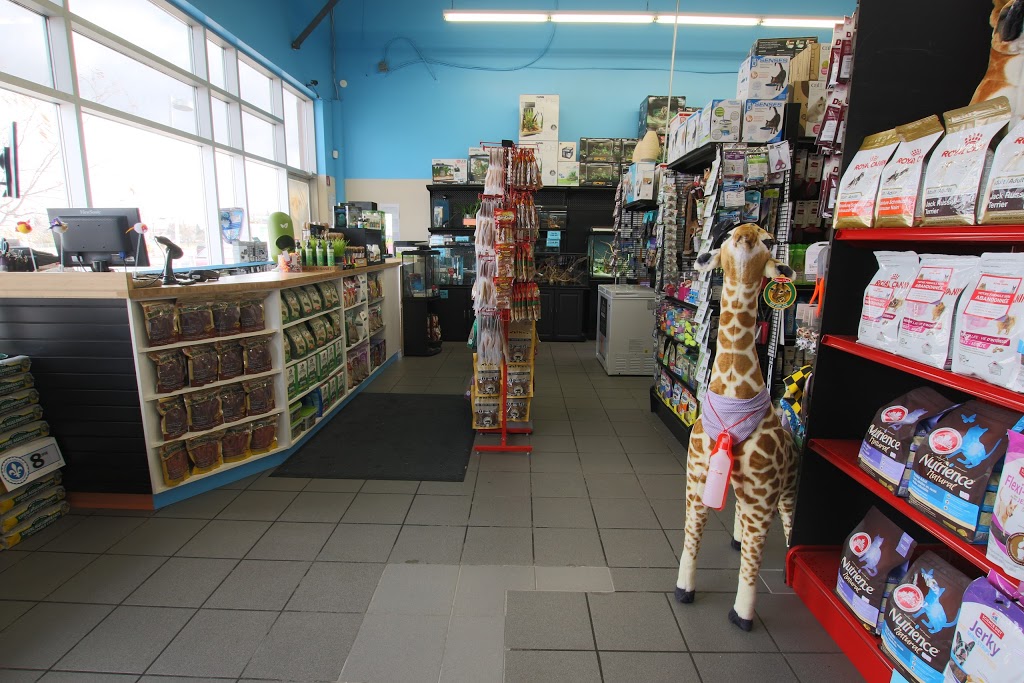 Animalerie du Grand Boisé | 1410 Chemin de Saint-Jean, La Prairie, QC J5R 2L7, Canada | Phone: (450) 907-7772