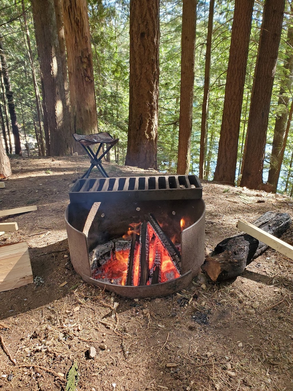 Cat Lake Recreation Site | Cheekye Forest Service Rd, Squamish, BC V8B 0P6, Canada
