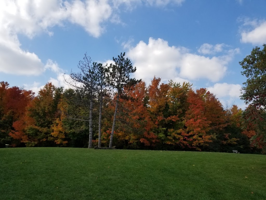 White Spruce Park | Brampton, ON L6Z 0B4, Canada | Phone: (647) 892-8970